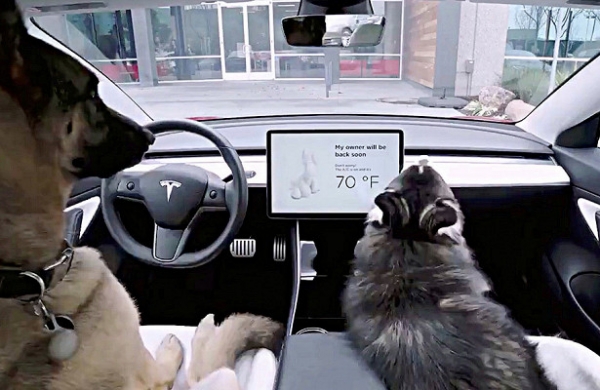 В автомобили Tesla добавили «собачий режим»