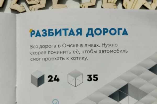 Разбитые дороги в Омске попали в учебные пособия для детей