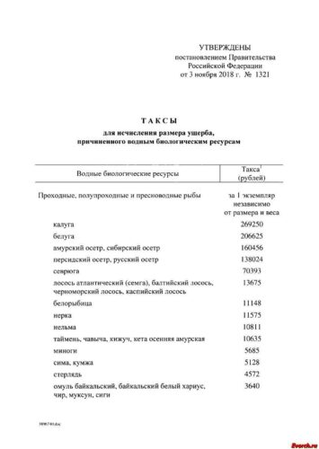 Рыбалка по новым законам и штрафы для рыбаков 2019 в России L~H
