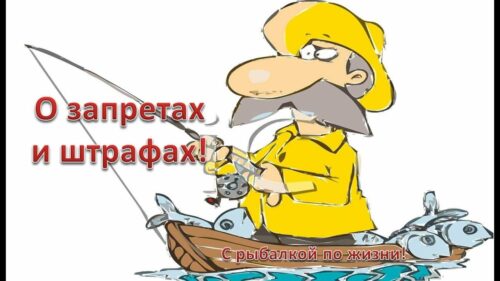 Рыбалка по новым законам и штрафы для рыбаков 2019 в России L~H